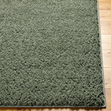 Soso Shaggy Solid Color Plush Pile Green Rug