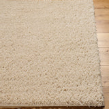 Soso Shaggy Solid Color Plush Pile Beige Rug