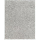 Soso Shaggy Solid Color Plush Pile Light Grey Rug