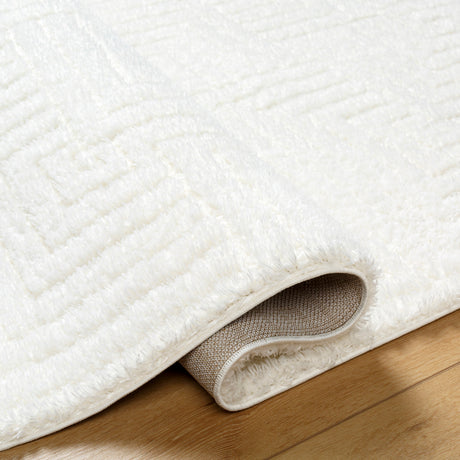 Dariana Shaggy Modern Plush Pile Ivory Rug - Image 4