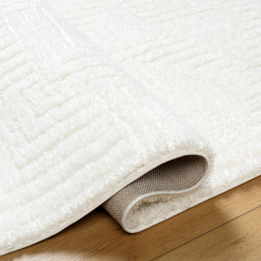 Dariana Shaggy Modern Plush Pile Ivory Rug - Image 4