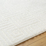 Dariana Shaggy Modern Plush Pile Ivory Rug - Image 3