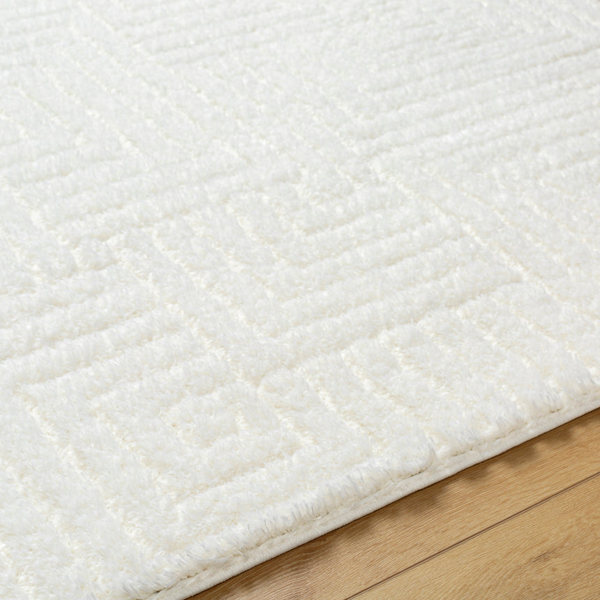 Dariana Shaggy Modern Plush Pile Ivory Rug - Image 3
