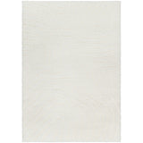 Danae Shaggy Modern Plush Pile Light Beige Rug - Image 1