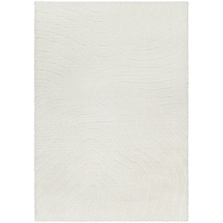 Danae Shaggy Modern Plush Pile Light Beige Rug - Image 1