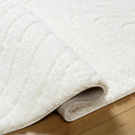 Danae Shaggy Modern Plush Pile Light Beige Rug - Image 4