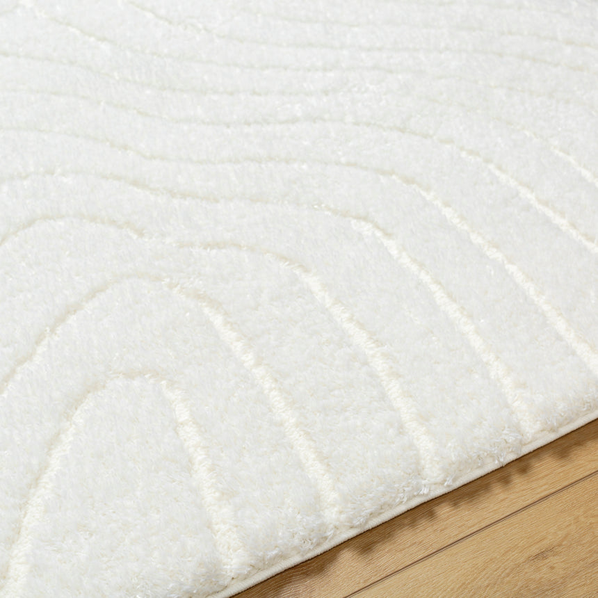 Danae Shaggy Modern Plush Pile Light Beige Rug - Image 3