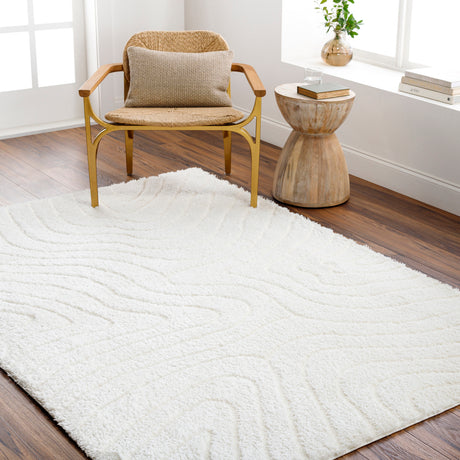 Danae Shaggy Modern Plush Pile Light Beige Rug - Image 2