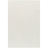 Runa Shaggy Modern Plush Pile Light Beige/Ivory Rug