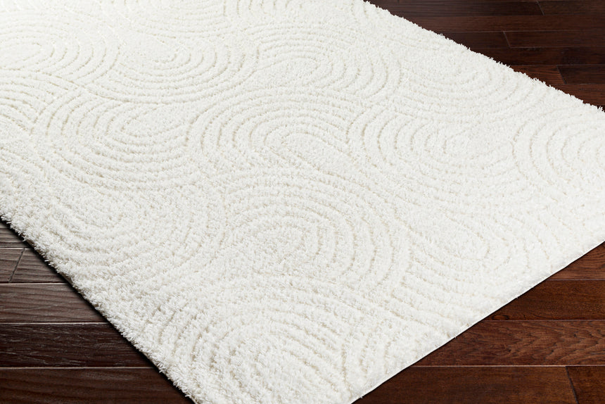 Runa Shaggy Modern Plush Pile Light Beige/Ivory Rug