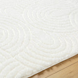 Runa Shaggy Modern Plush Pile Light Beige/Ivory Rug