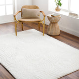 Runa Shaggy Modern Plush Pile Light Beige/Ivory Rug