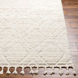 Jasmine Berber Geometric High Pile Beige Rug