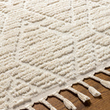 Jasmine Berber Geometric High Pile Beige Rug