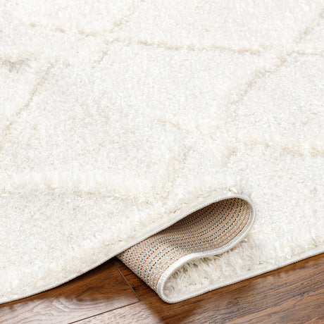 Sumaya Shaggy Modern Plush Pile Cream Rug - Image 4