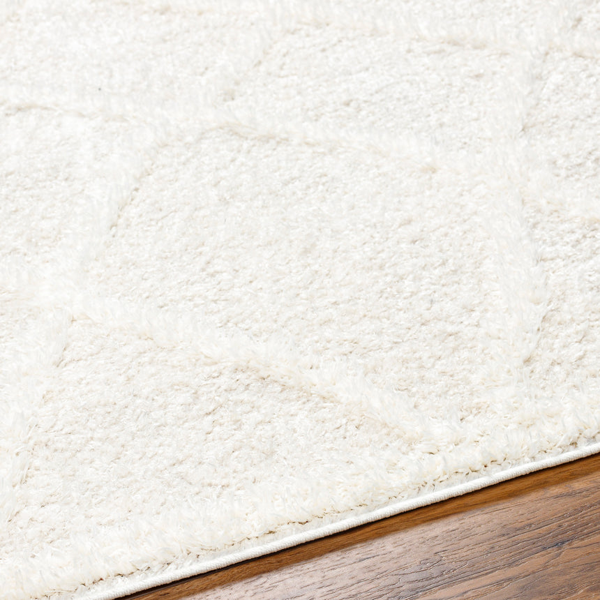 Sumaya Shaggy Modern Plush Pile Cream Rug