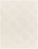 Afarin Shaggy Modern Plush Pile Light Grey Rug