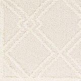 Afarin Shaggy Modern Plush Pile Light Grey Rug