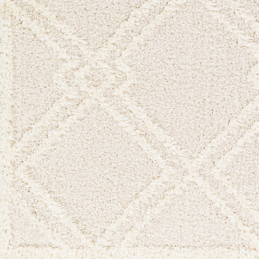 Afarin Shaggy Modern Plush Pile Light Grey Rug