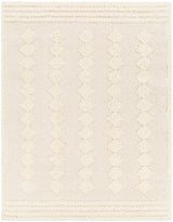 Elaheh Shaggy Modern Plush Pile Light Grey Rug - Image 1