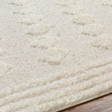 Elaheh Shaggy Modern Plush Pile Light Grey Rug - Image 3