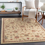 Kabani Traditional Boho Khaki Rug