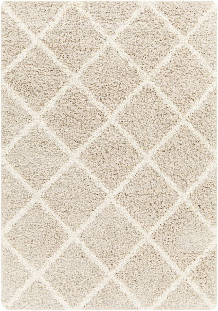 Jane Shaggy Cottage Plush Pile Beige Rug