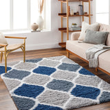 Judy Shaggy Cottage Plush Pile Light Grey Rug